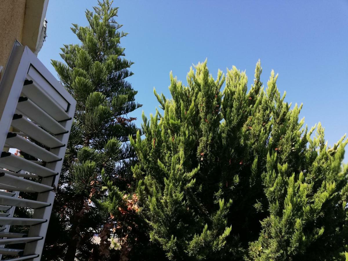 PaphosChriselina Gottage公寓 外观 照片