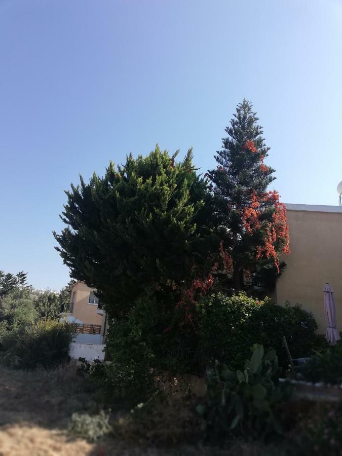 PaphosChriselina Gottage公寓 外观 照片